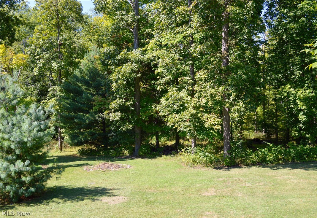 4644 Nettleton Road Medina, OH 44256 - Photo 8 of 23 Gallery Image 8