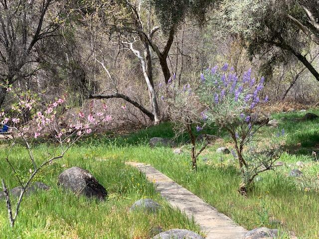 44291 North Fork Drive Three Rivers, CA 93271 - Photo 69 of 75 IMG_5092