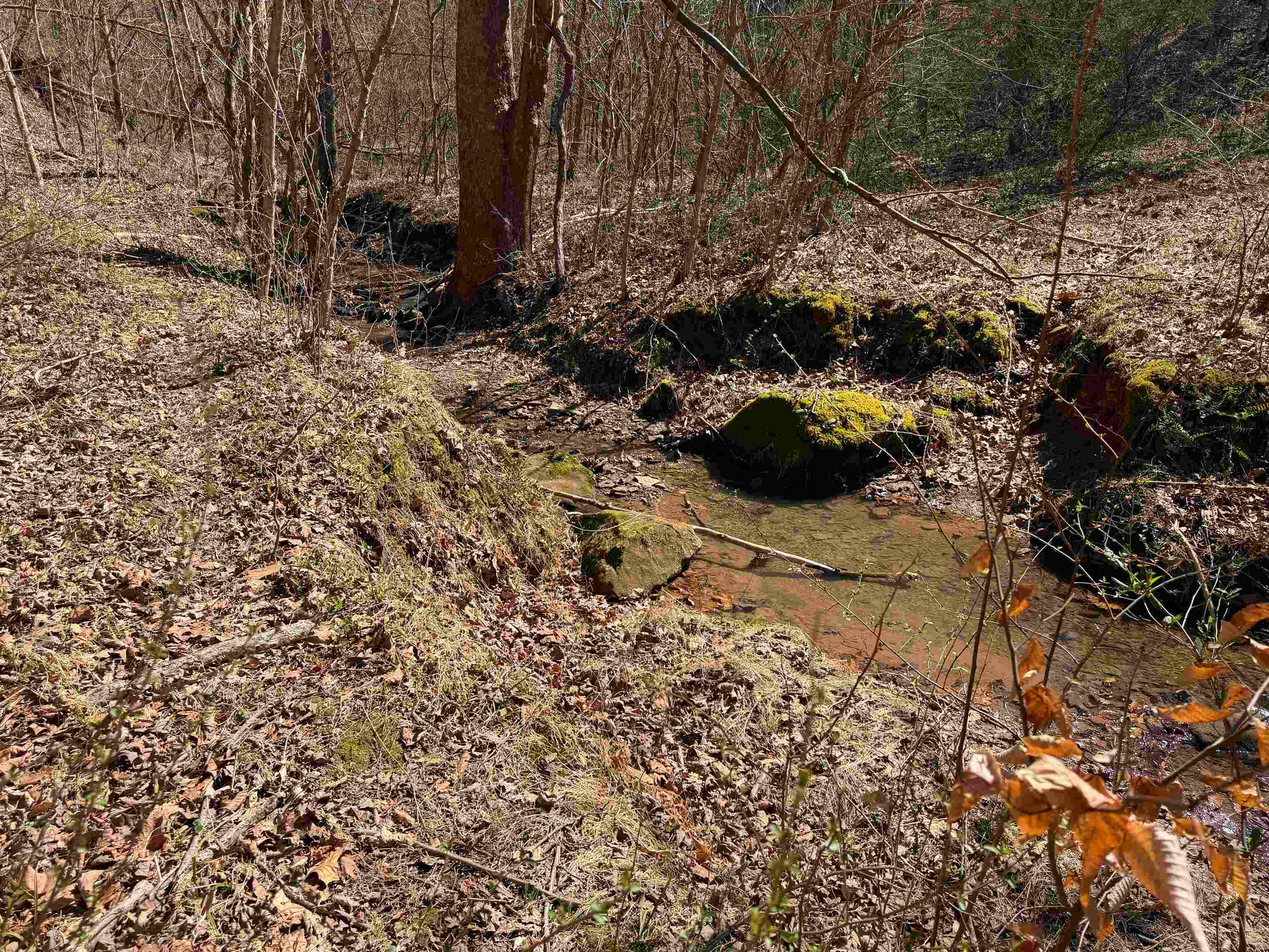 0 Dunfee Road Lesage, WV 25537 - Photo 6 of 24 Gallery Image 6