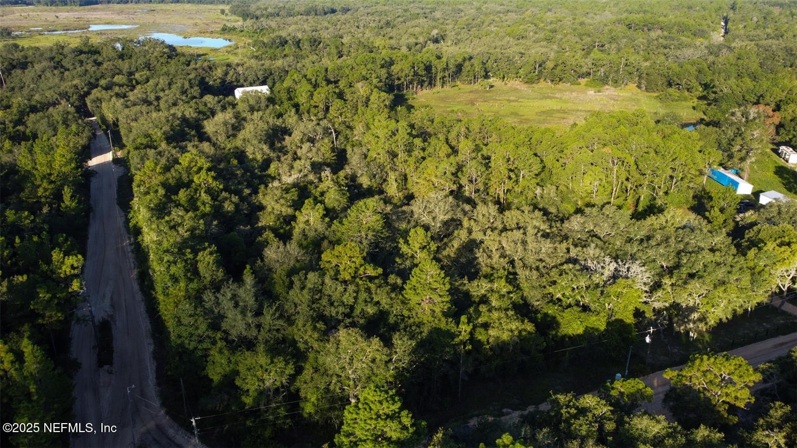 0 Lake Bundy Road Melrose, FL 32666 - Photo 4 of 9 a view of outdoor space and garden