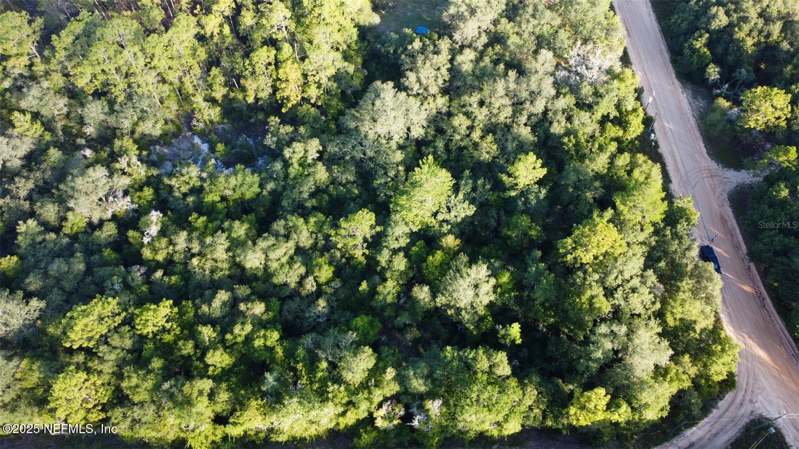 0 Lake Bundy Road Melrose, FL 32666 - Photo 7 of 9