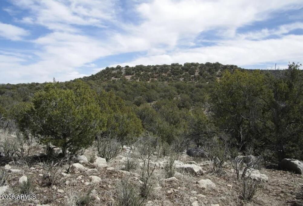 918 Wolf Road, Unit 918 Williams, AZ 86046 - Photo 18 of 18 fbffd547-2c5d-45c1-90b8-7ea5871af803