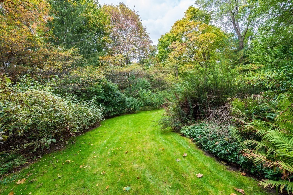 9 Livermore Road Wellesley, MA 02481 - Photo 3 of 20 a view of yard with green space