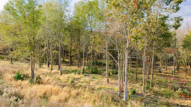 a view of a sink in a yard