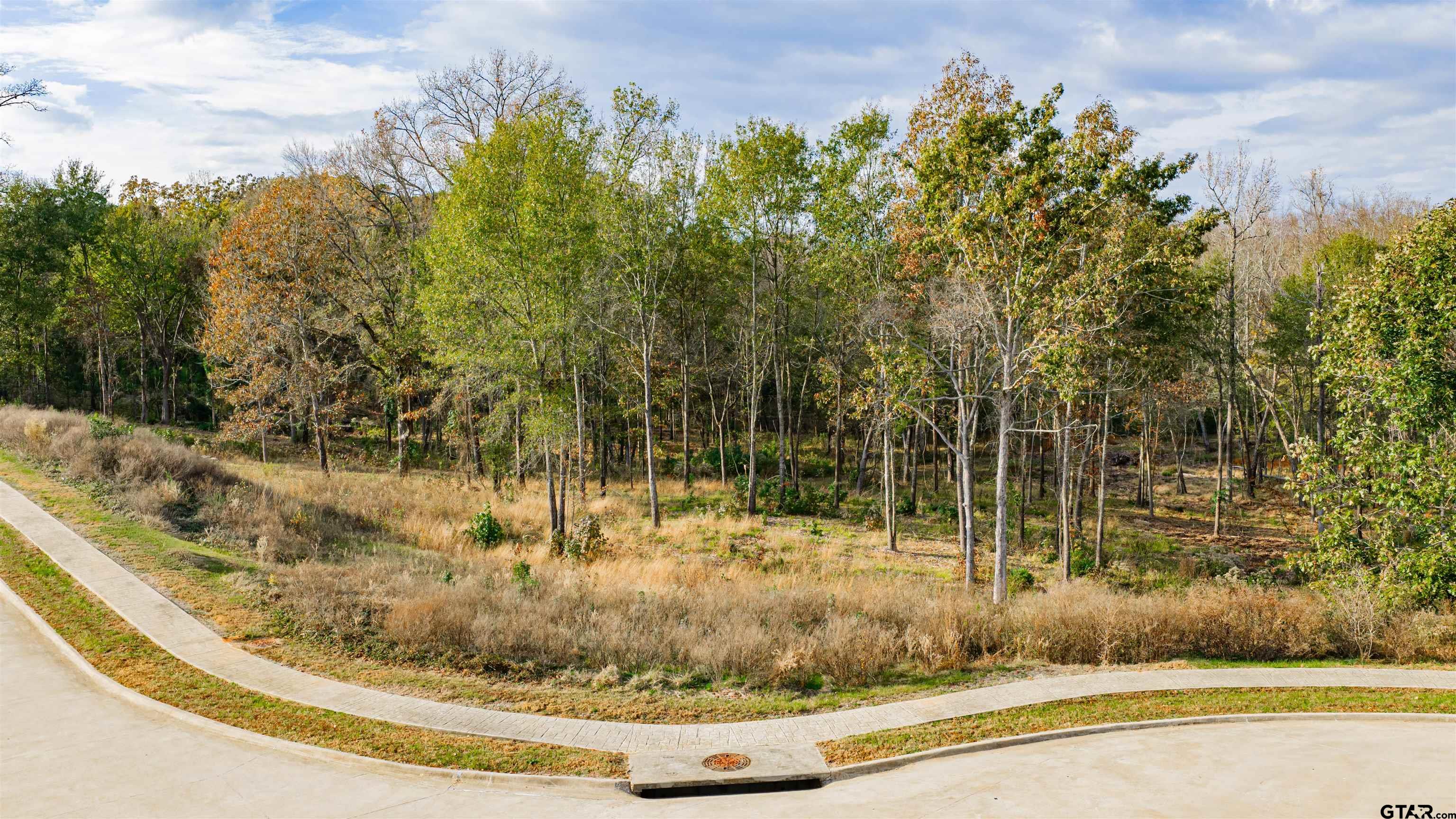 0 Savannah Hls Lane Longview, TX 75605 - Photo 15 of 18 a view of a sink in a yard