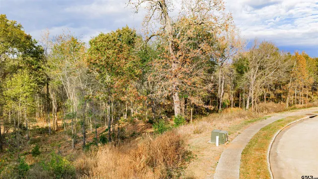 a view of a house with a yard from a terrace