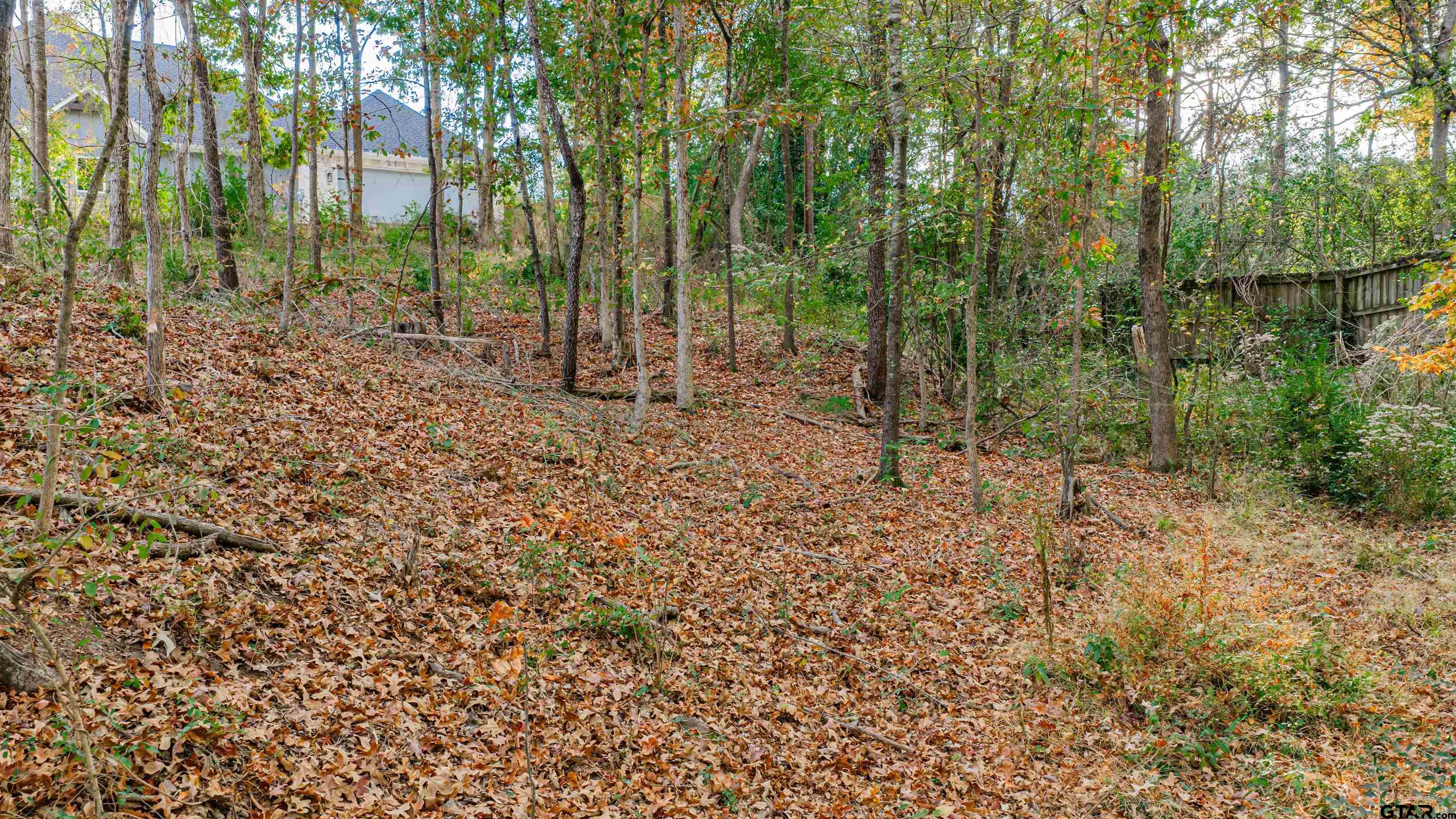 0 Savannah Hls Lane Longview, TX 75605 - Photo 3 of 18 a view of a forest with trees
