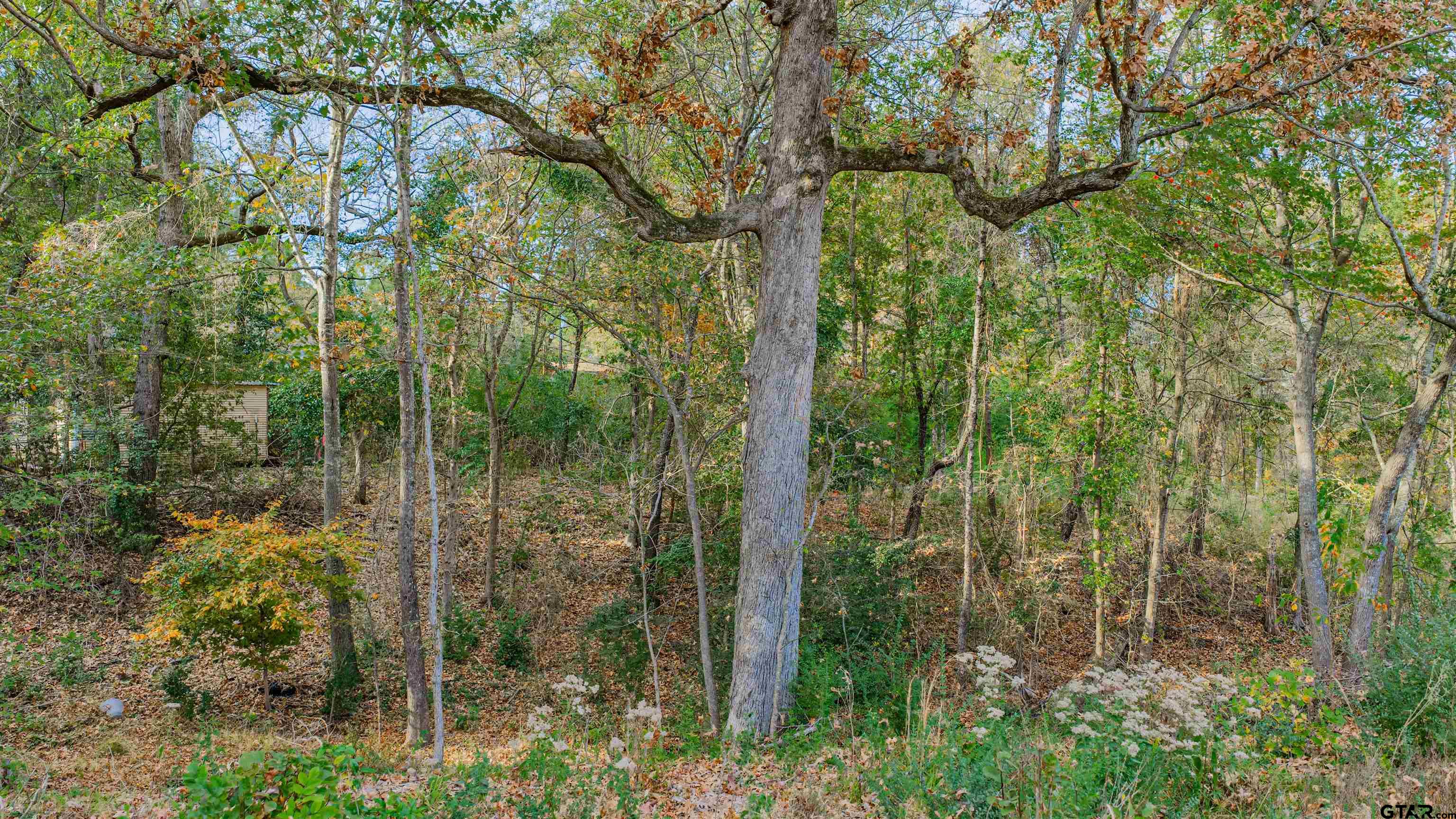 0 Savannah Hls Lane Longview, TX 75605 - Photo 6 of 18 a view of a garden from a room