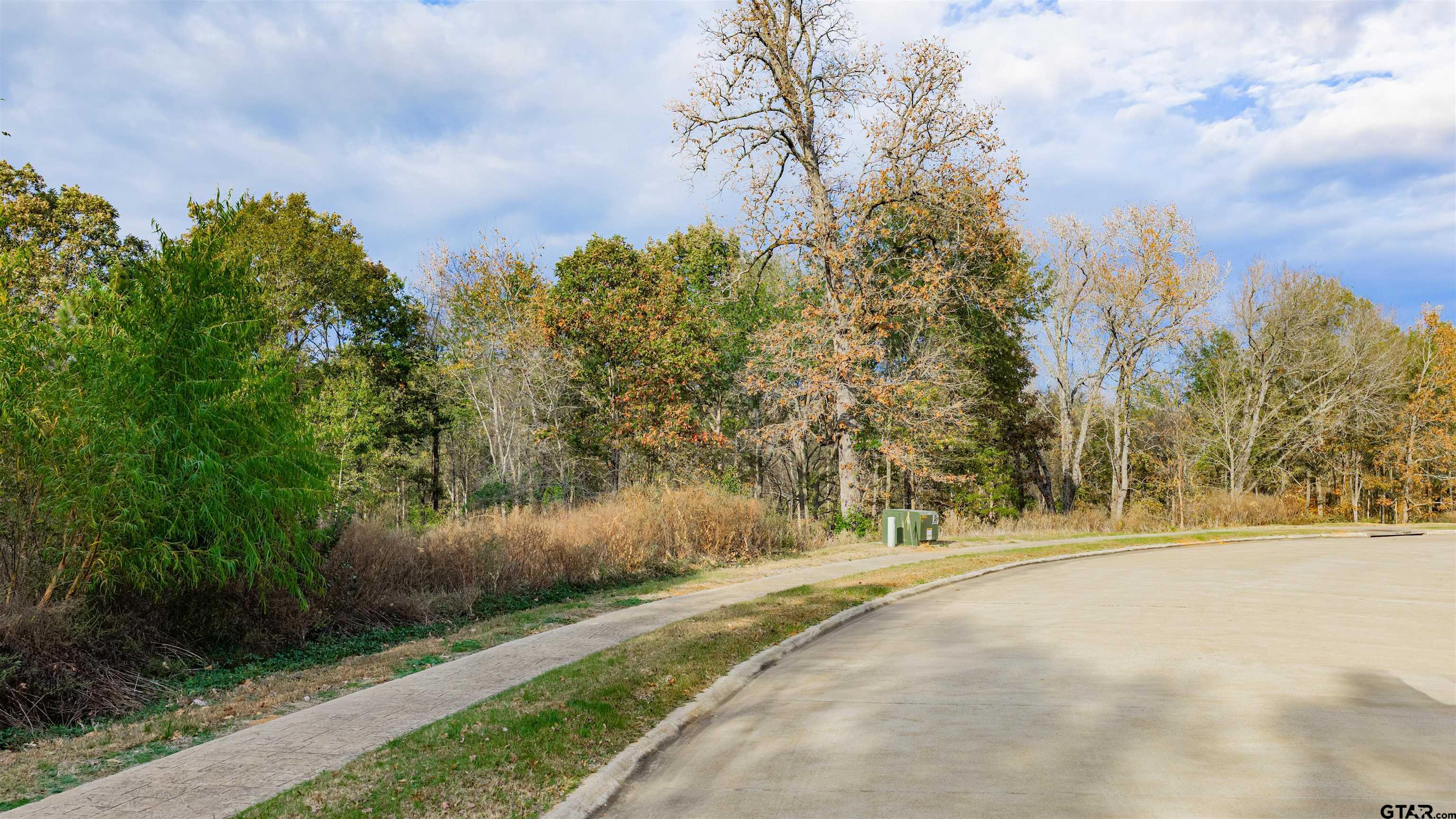 0 Savannah Hls Lane Longview, TX 75605 - Photo 7 of 18 a view of outdoor space and yard