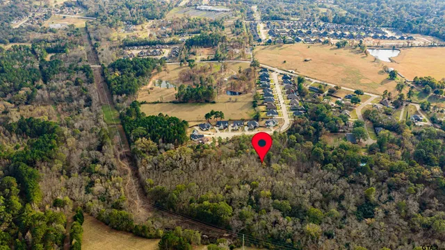 an aerial view of residential houses with outdoor space and trees