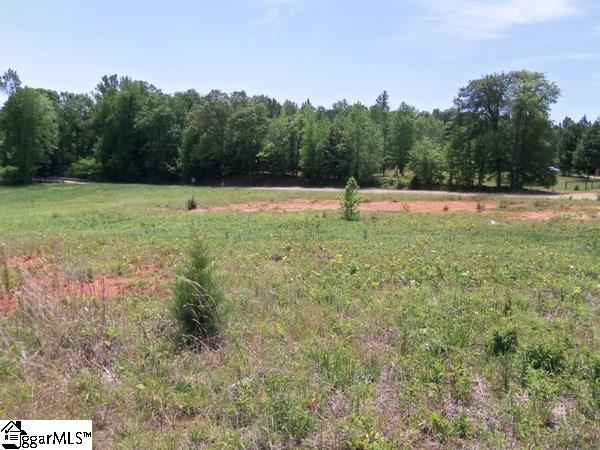 0 Stewart Dairy Road Fountain Inn, SC 29644 - Photo 14 of 27