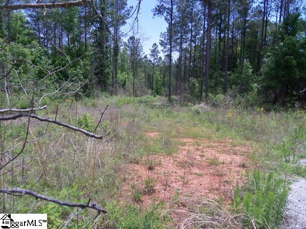 0 Stewart Dairy Road Fountain Inn, SC 29644 - Photo 22 of 27