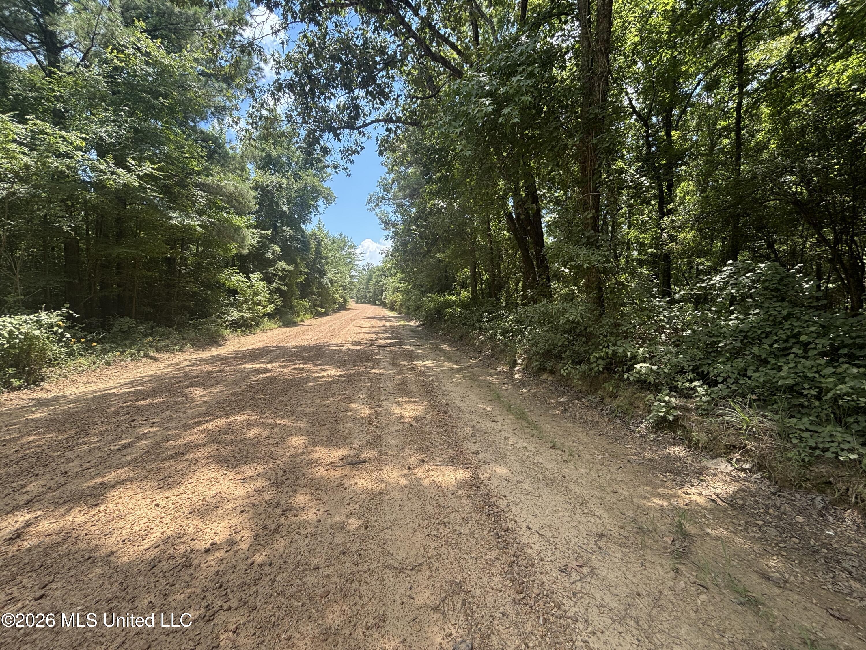 Firetower Road Camden, MS 39045 - Photo 9 of 12 IMG_4803
