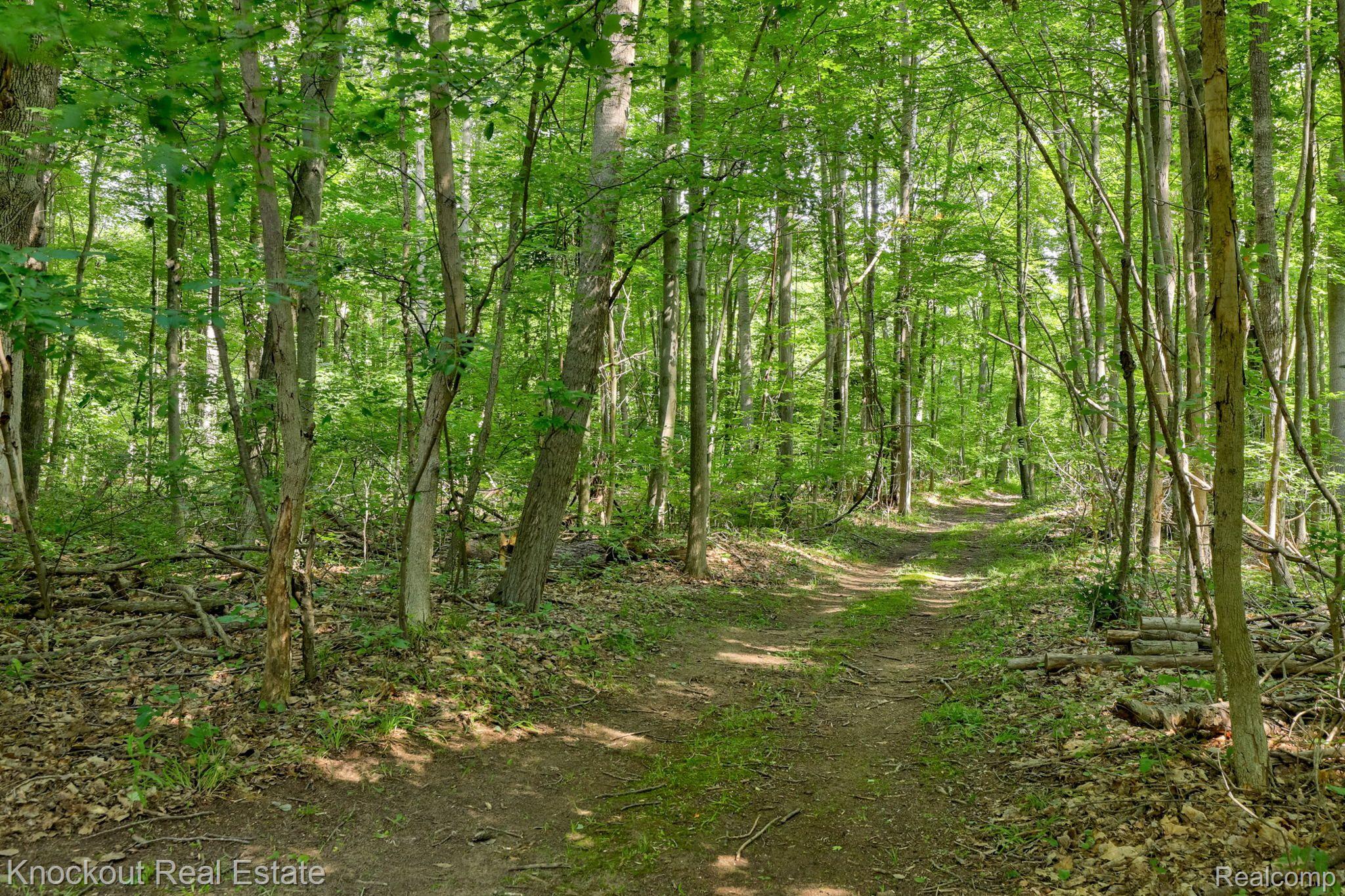 2315 East Bevens Road Caro, MI 48723 - Photo 63 of 97 Gallery Image 63
