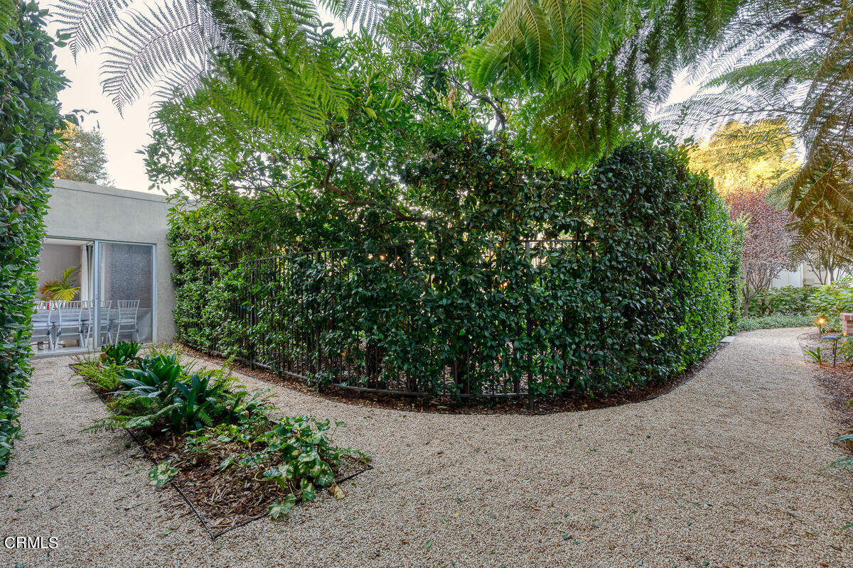 465 South San Rafael Avenue Pasadena, CA 91105 - Photo 68 of 75 a view of a garden with plants