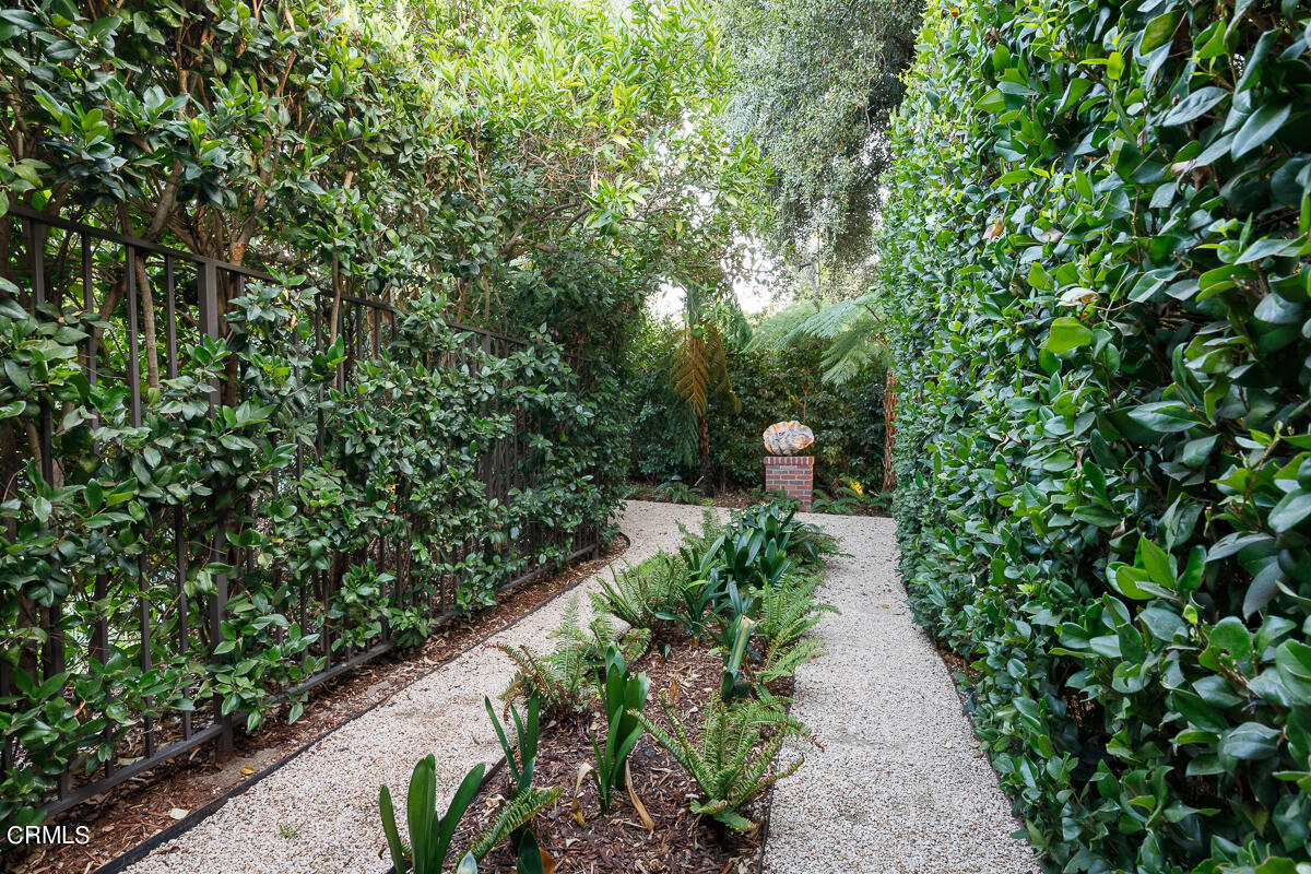465 South San Rafael Avenue Pasadena, CA 91105 - Photo 70 of 75 a view of a garden with pathway