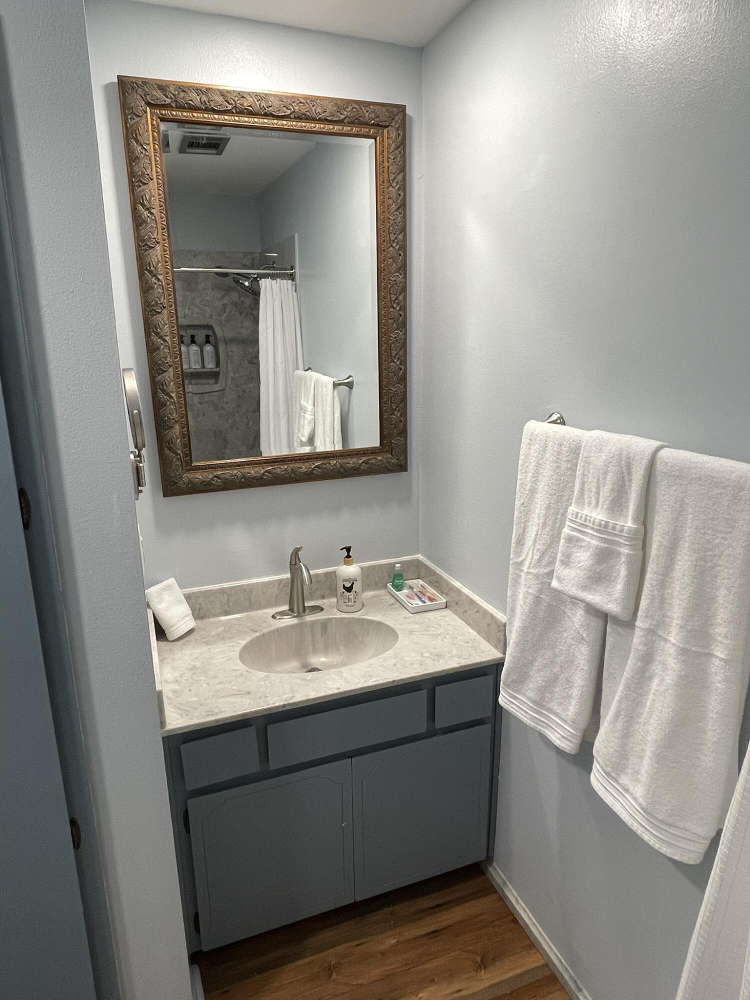1086 County Highway 183 North DeFuniak Springs, FL 32433 - Photo 15 of 20 a bathroom with a sink vanity and mirror