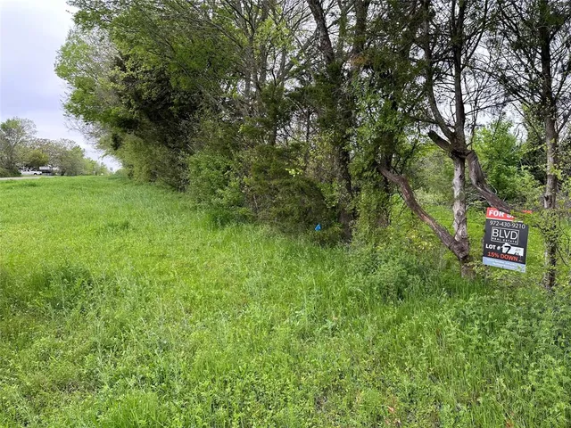 a sign board with tall trees