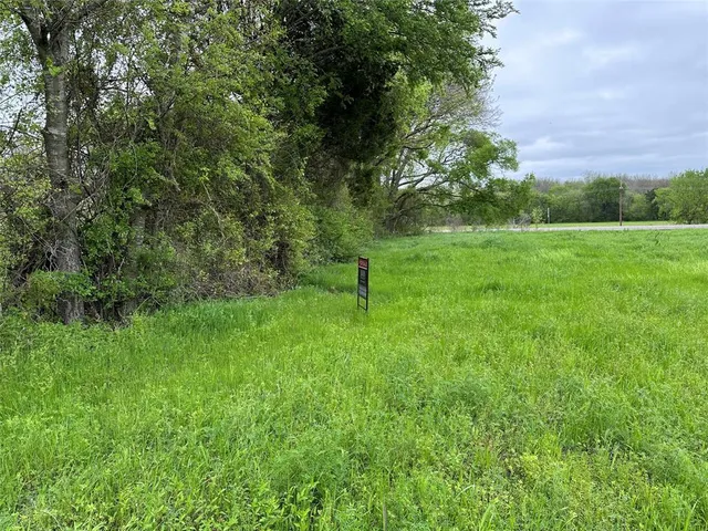 a green field with lots of trees in the background