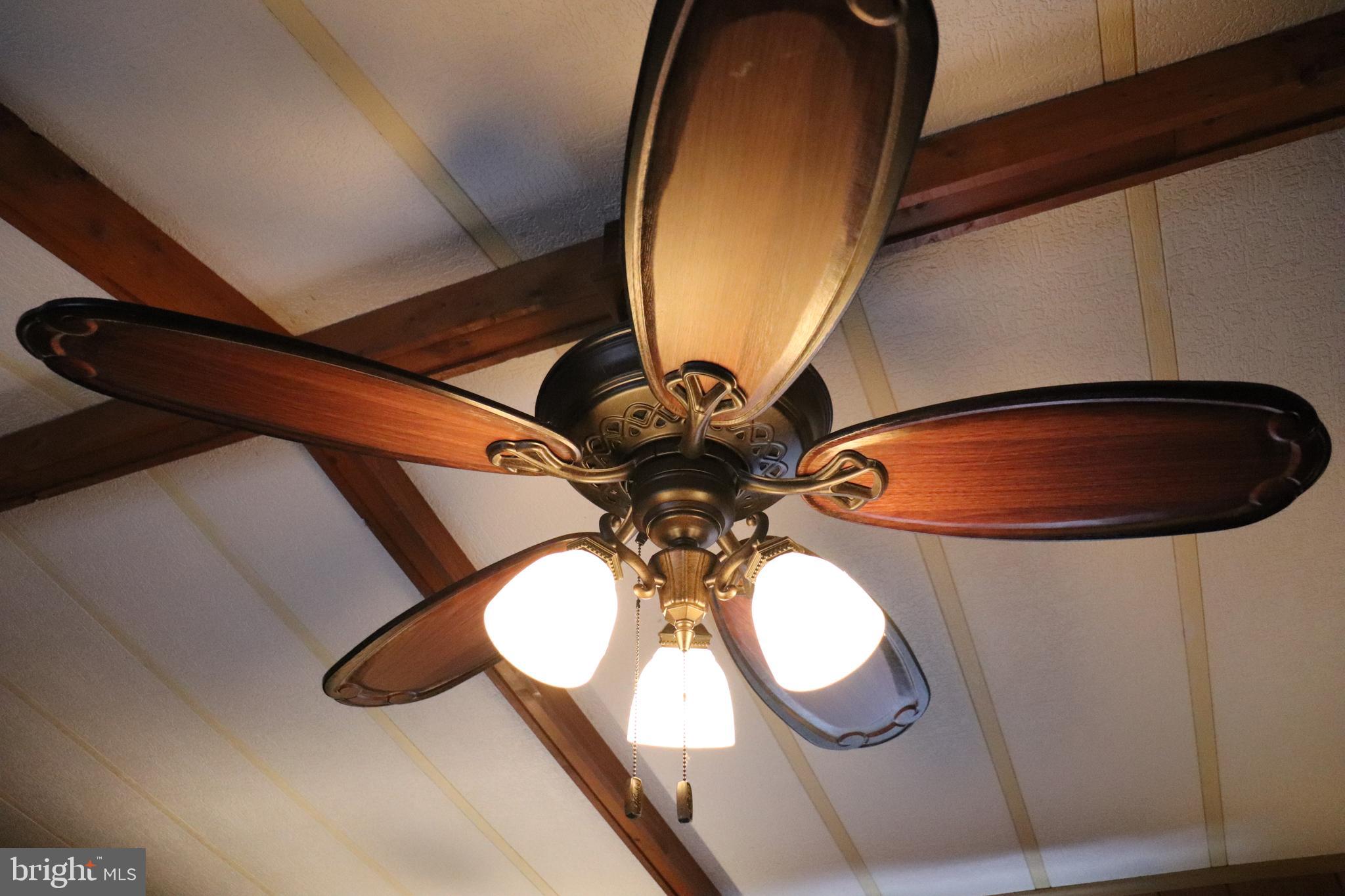 232 Yankee Road, Unit 31 Quakertown, PA 18951 - Photo 19 of 24 Decorative Ceiling fan