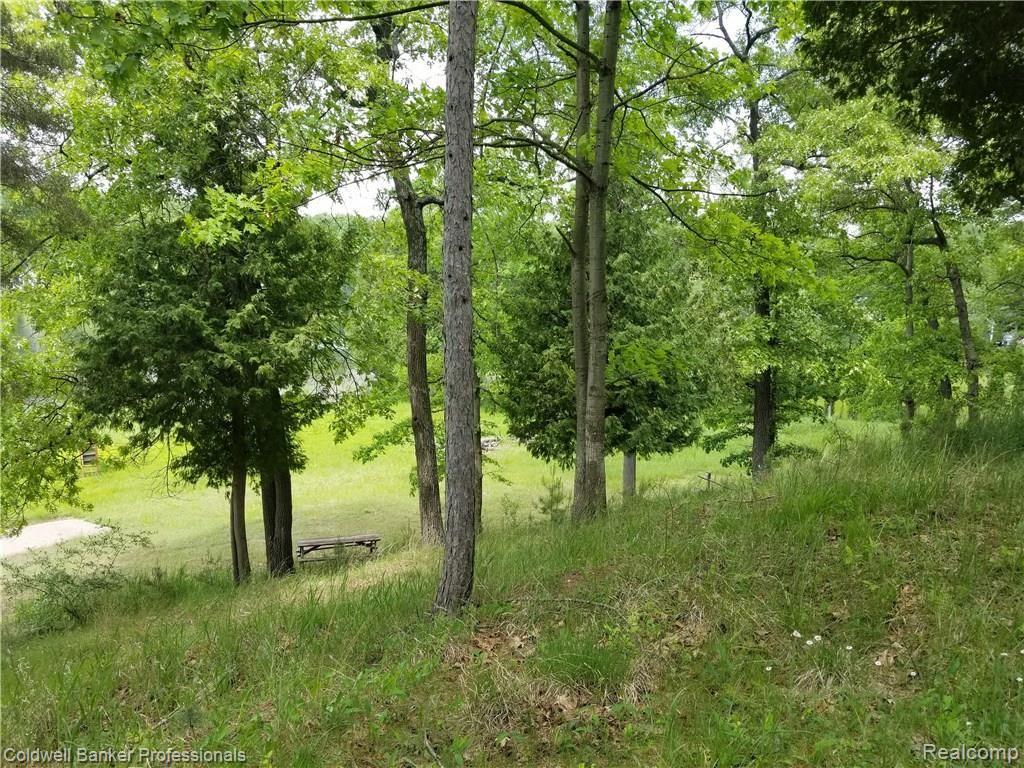 122 Yule Road Leonard, MI 48367 - Photo 7 of 20