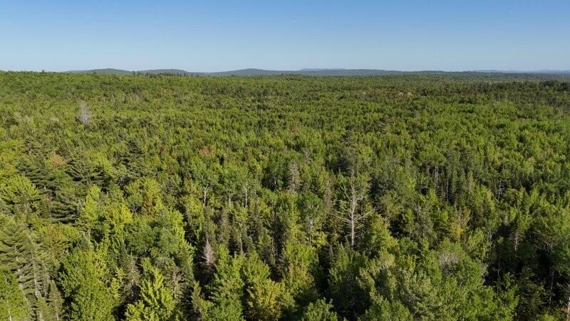 515 Dodlin Road Enfield, ME 04493 - Photo 70 of 74 515 Dodlin Road