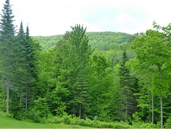 3841 Pearl Lake Road Landaff, NH 03585 - Photo 14 of 28