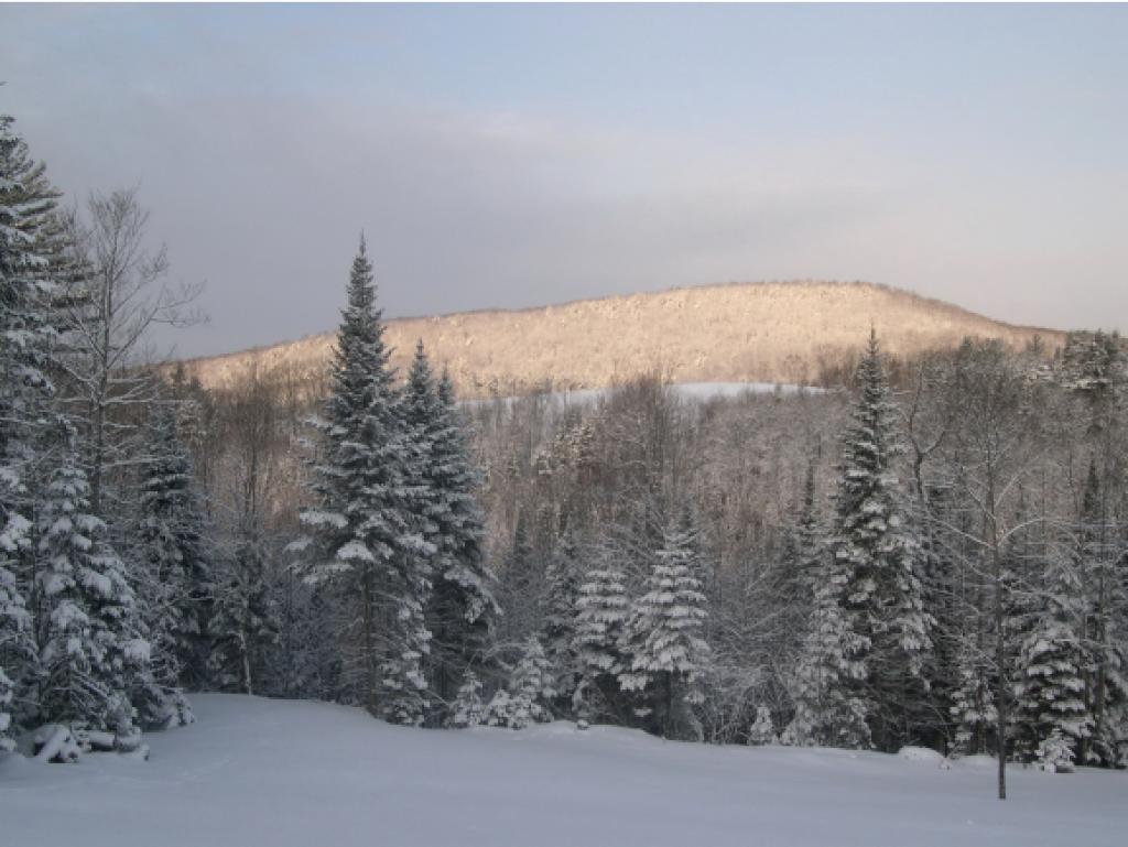 3841 Pearl Lake Road Landaff, NH 03585 - Photo 20 of 28