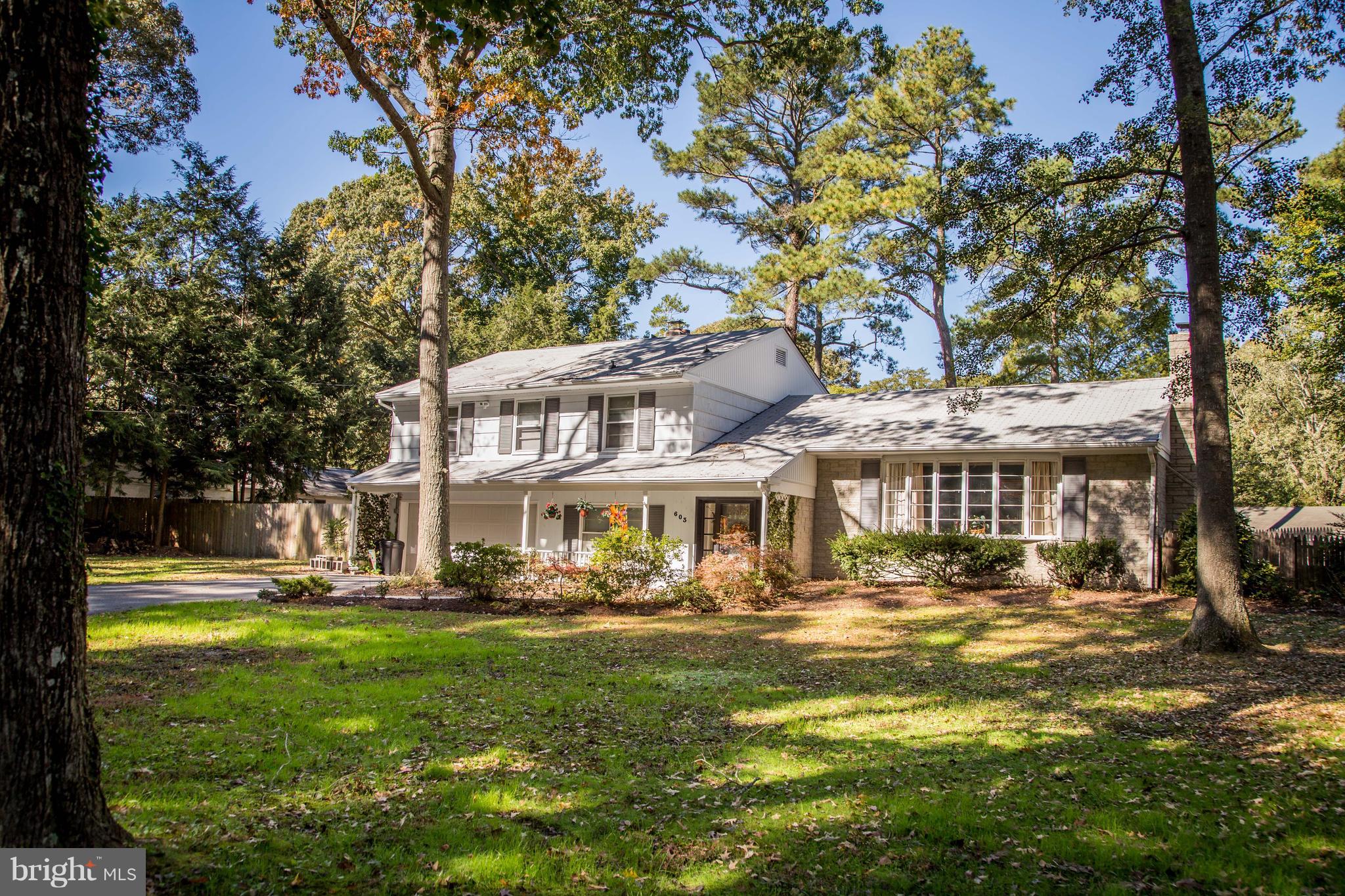 603 Twin Tree Road Salisbury, MD 21801 - Photo 3 of 44 Gallery Image 3