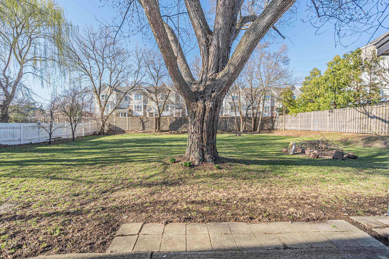 886 West Palatine Road Palatine, IL 60067 - Photo 24 of 27 a view of a park with large trees