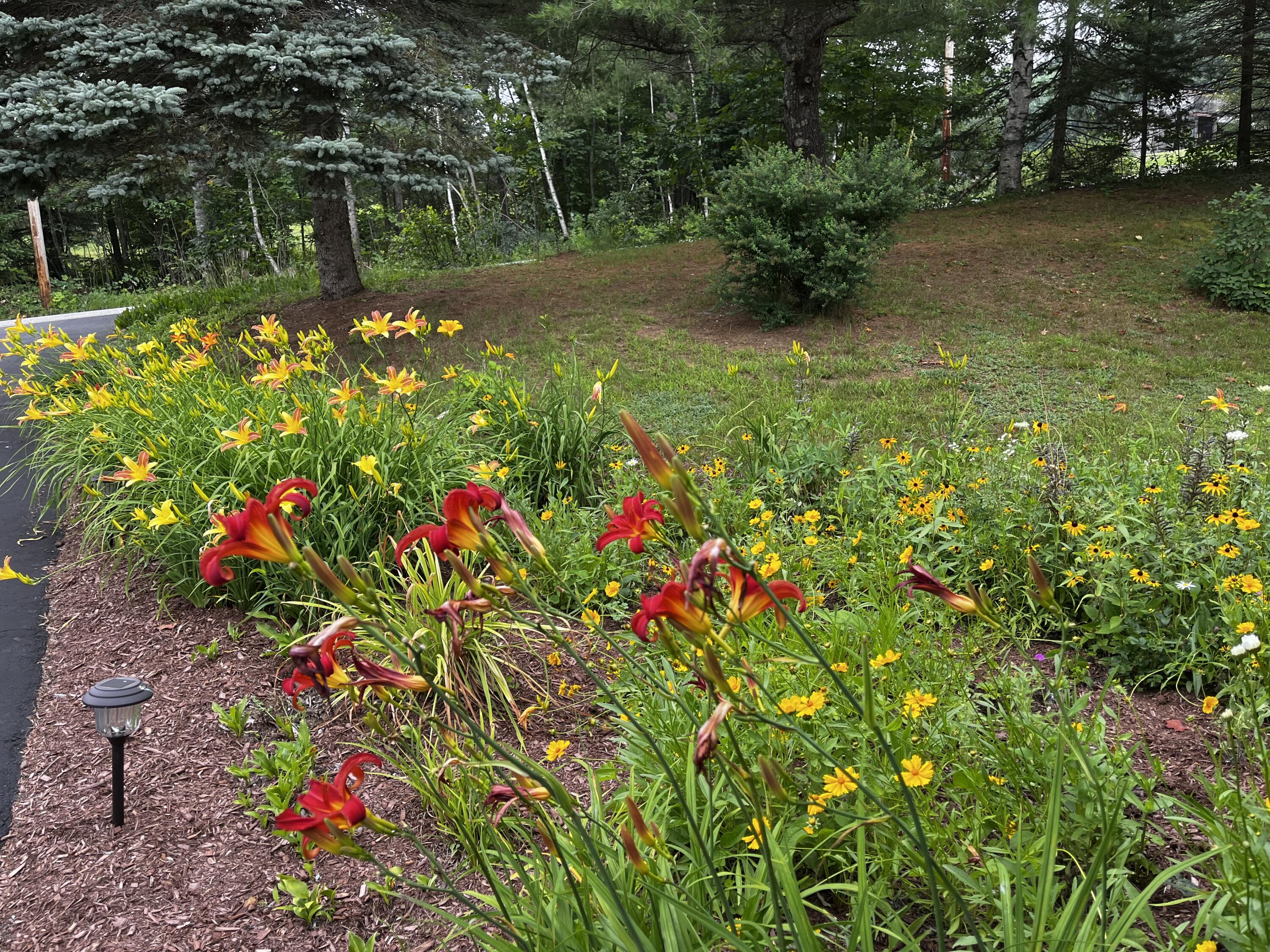 61 Watson Road Norway, ME 04268 - Photo 84 of 93 IMG_5341 (1)