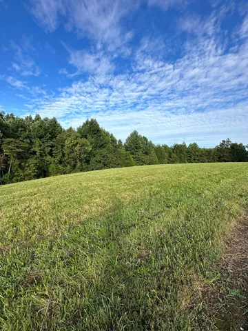 a view of a field with an ocean