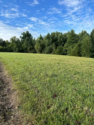a view of a field of grass and trees