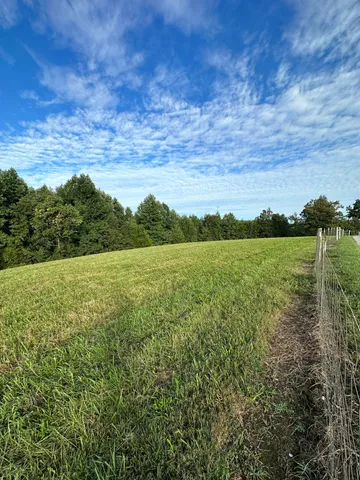 a view of a field with an ocean