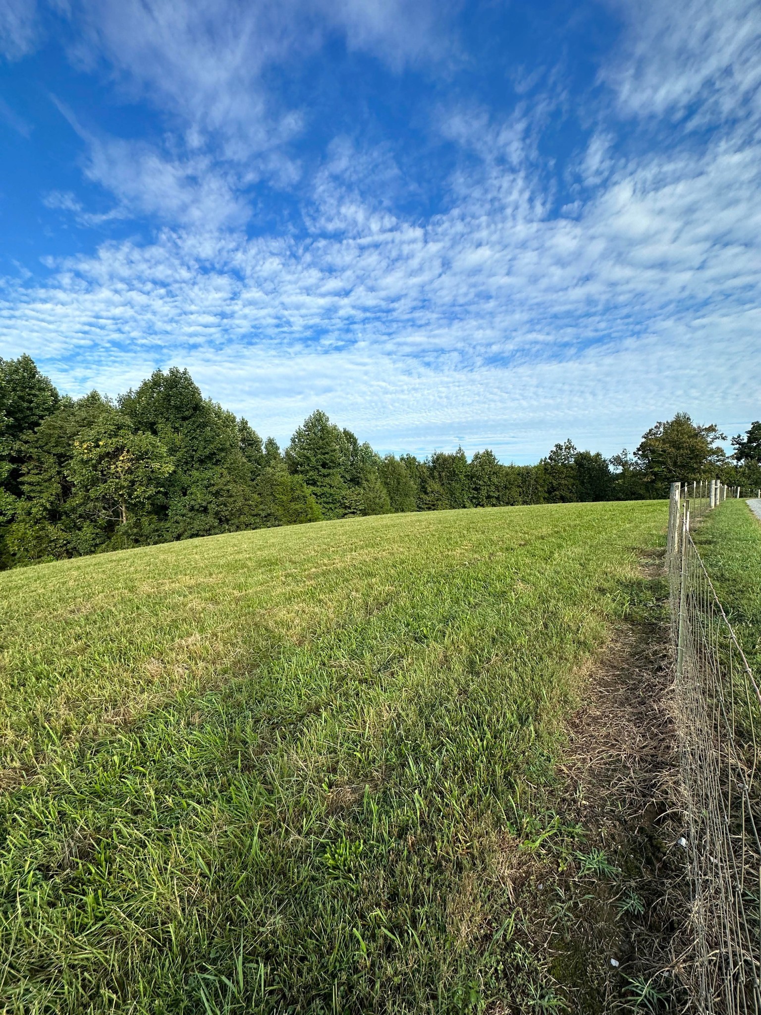 0 Knob Creek Road Wartrace, TN 37183 - Photo 10 of 22 a view of a field with an ocean