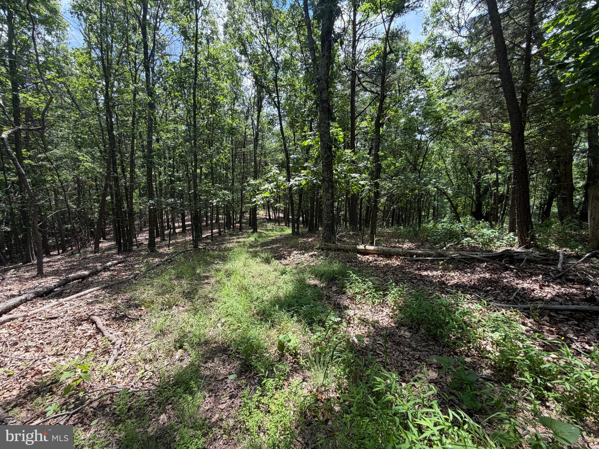 0 Headsville Road Keyser, WV 26726 - Photo 11 of 24