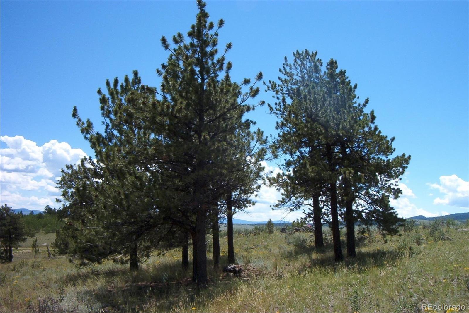 5405 Ranch Road Hartsel, CO 80449 - Photo 8 of 11