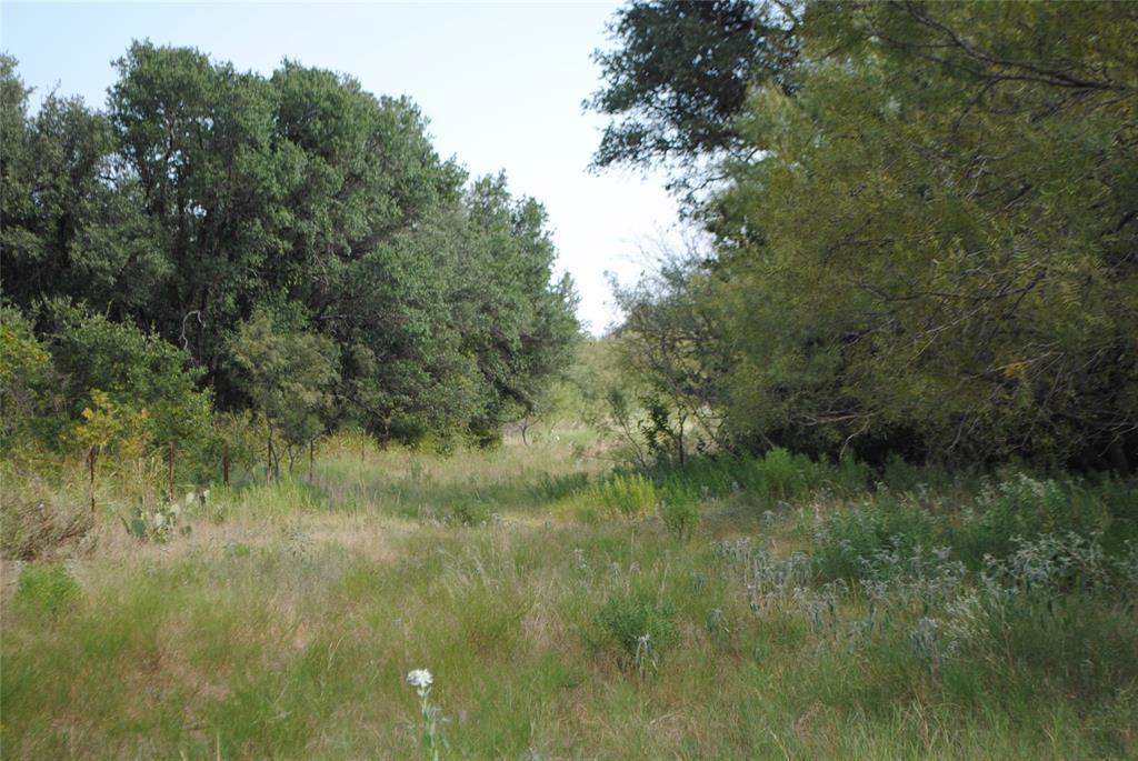 131 Comanche Tx 76857 Rising Star, TX 76471 - Photo 14 of 34 a view of a lush green space