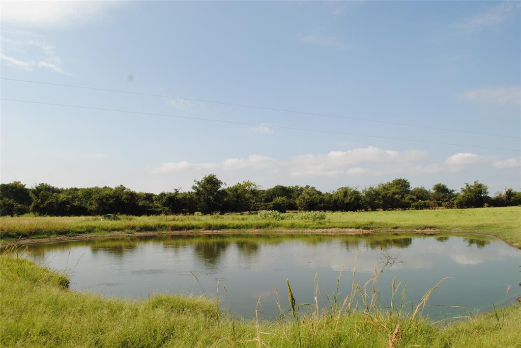 131 Comanche Tx 76857 Rising Star, TX 76471 - Photo 18 of 34 a view of a lake with houses in the background