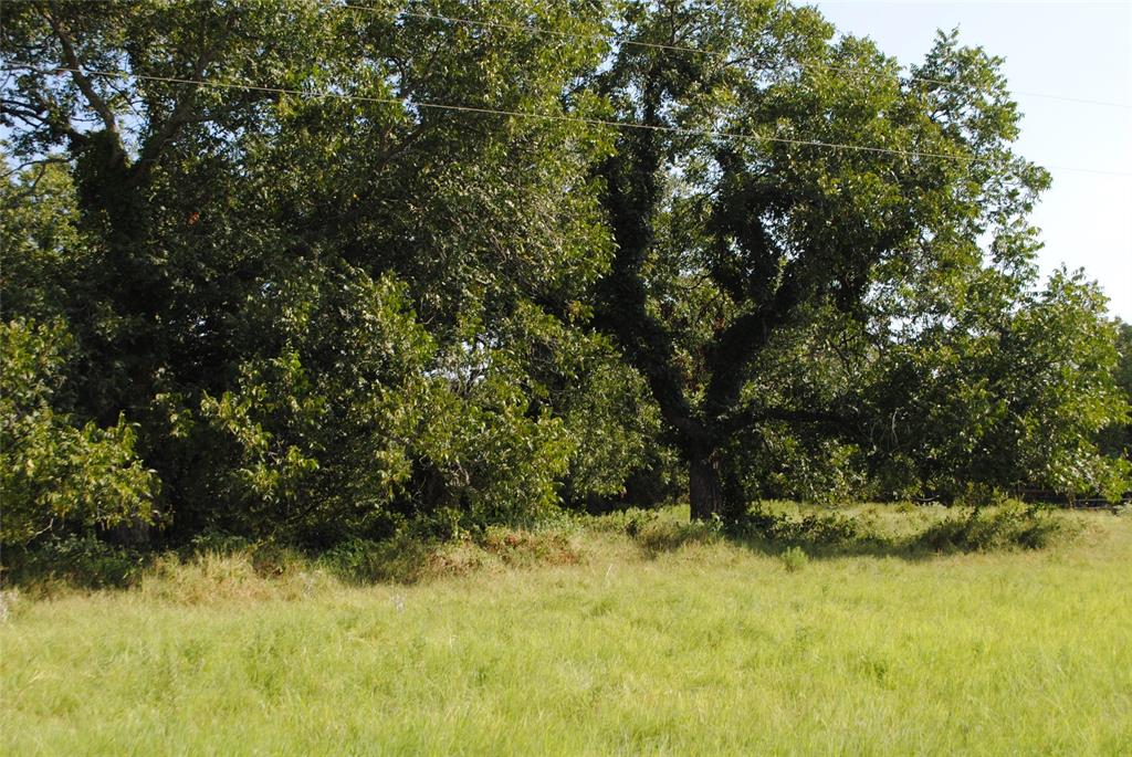 131 Comanche Tx 76857 Rising Star, TX 76471 - Photo 20 of 34 a view of a yard