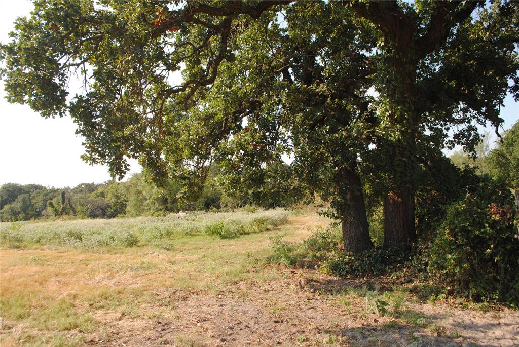131 Comanche Tx 76857 Rising Star, TX 76471 - Photo 2 of 34 a view of a yard with a tree