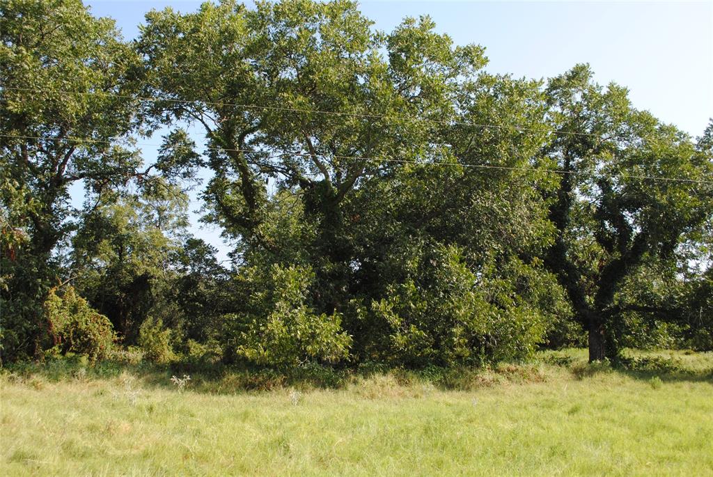 131 Comanche Tx 76857 Rising Star, TX 76471 - Photo 21 of 34 a view of a yard with a tree