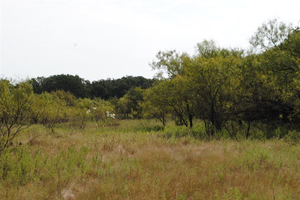 131 Comanche Tx 76857 Rising Star, TX 76471 - Photo 28 of 34 a view of a lush green field