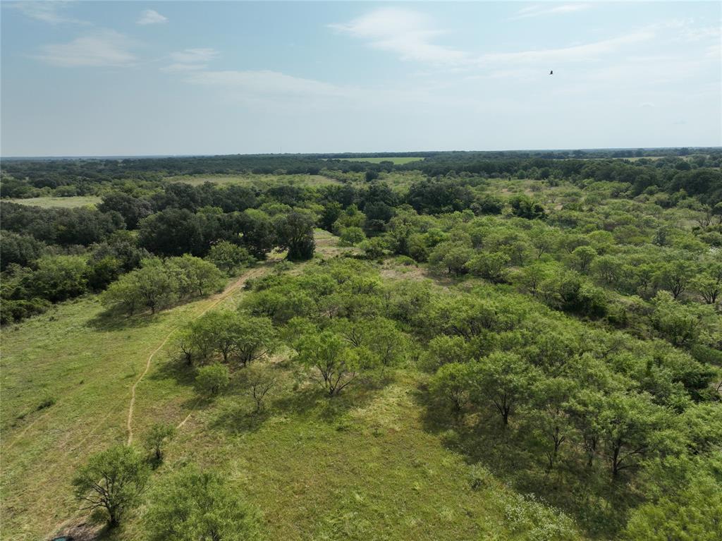 131 Comanche Tx 76857 Rising Star, TX 76471 - Photo 33 of 34 an aerial view of a houses with trees
