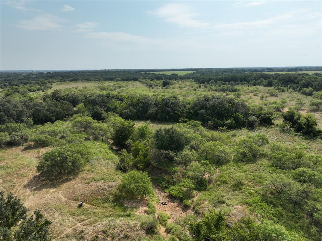 131 Comanche Tx 76857 Rising Star, TX 76471 - Photo 4 of 34 an aerial view of forest