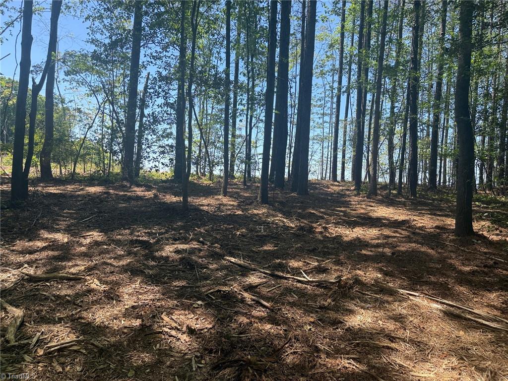 Lot 15 Willie Road Seagrove, NC 27341 - Photo 5 of 5