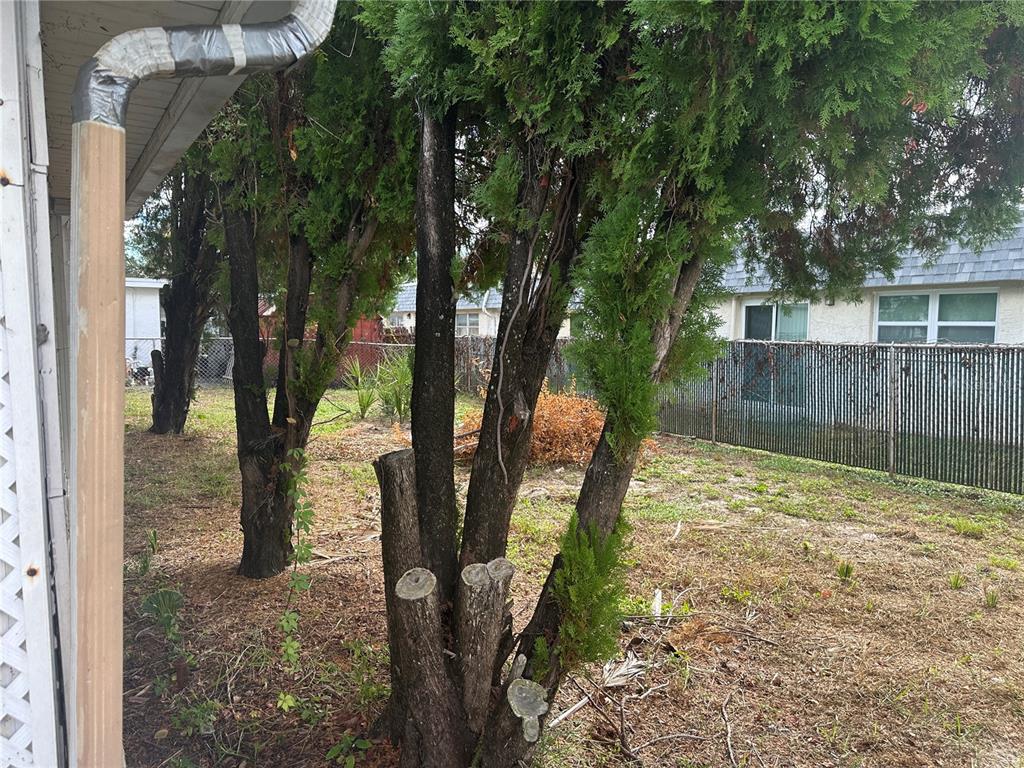 9741 Scenic Drive Port Richey, FL 34668 - Photo 17 of 17 a backyard of a house with lots of green space