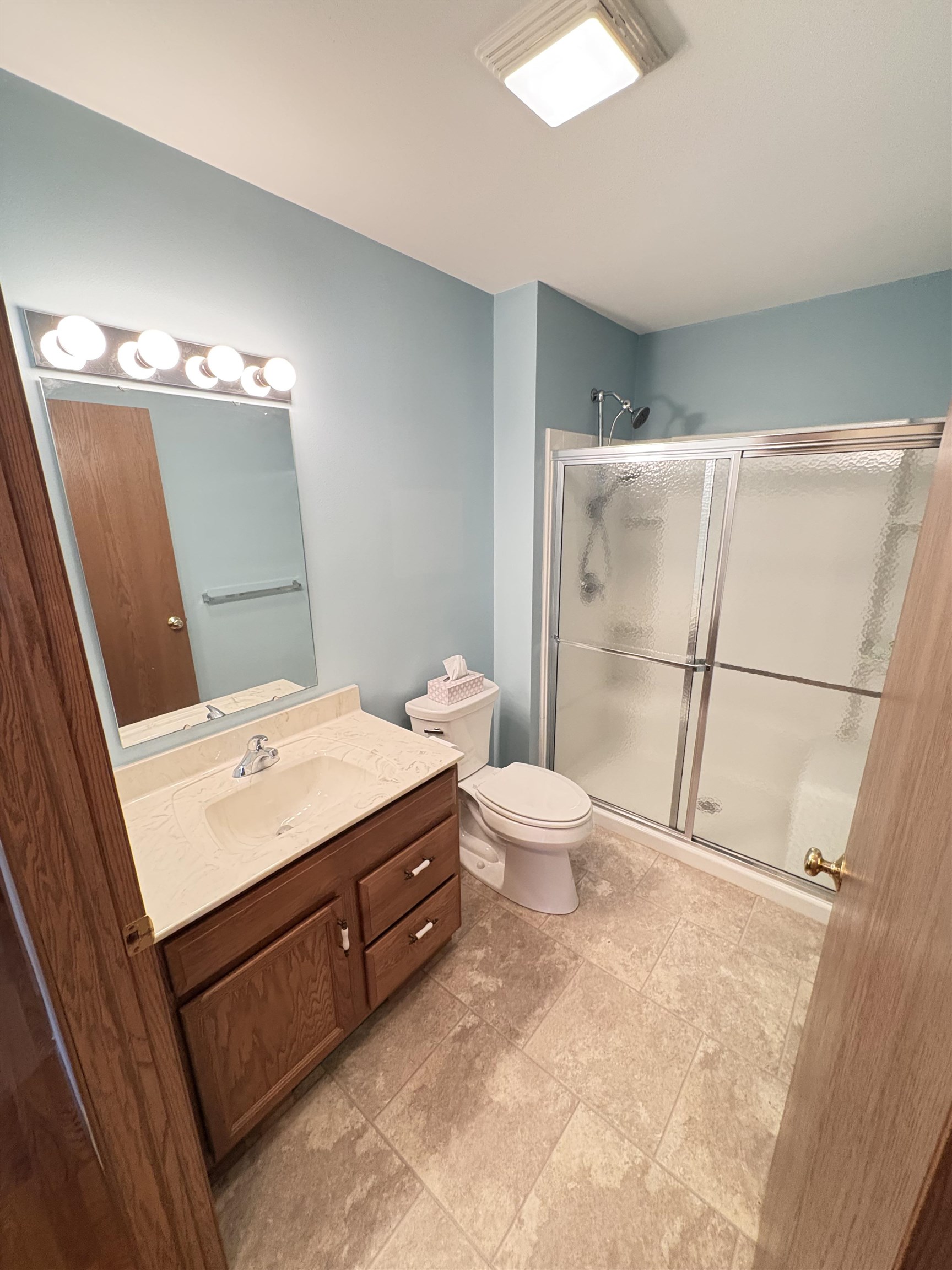 8431 Dean Road Savanna, IL 61074 - Photo 12 of 25 a bathroom with a sink a toilet a mirror and vanity