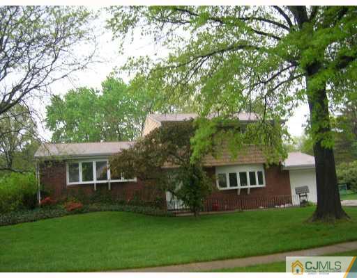 a view of a yard in front of a house with plants and large tree