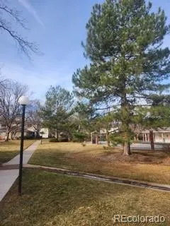 a view of yard with green space